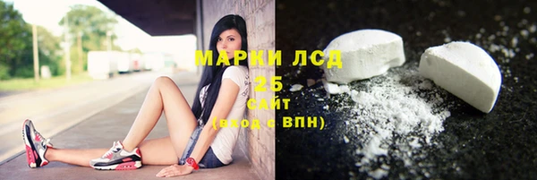 амф Бородино