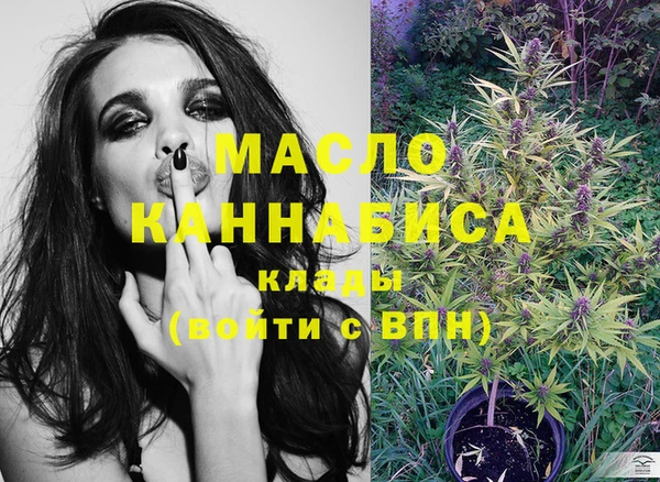 амф Бородино