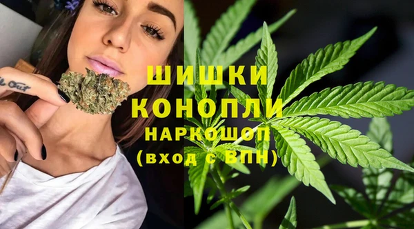 амф Бородино