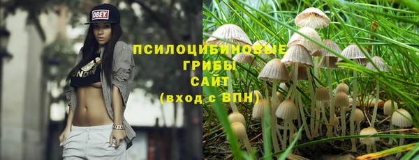 ГАЛЛЮЦИНОГЕННЫЕ ГРИБЫ Бугульма