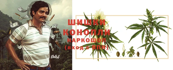 амф Бородино