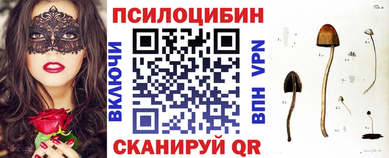 Галлюциногенные грибы мицелий  Купить где  Оленегорск 